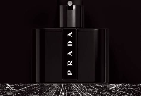 what does prada black smell like|prada black aftershave best price.